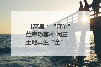 高县：“订单”苎麻巧套种 闲置土地再生“金”