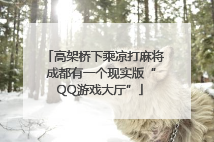 高架桥下乘凉打麻将 成都有一个现实版“QQ游戏大厅”
