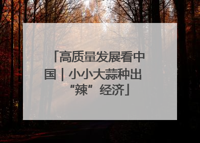 高质量发展看中国｜小小大蒜种出“辣”经济