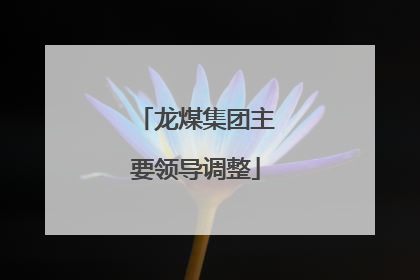 龙煤集团主要领导调整