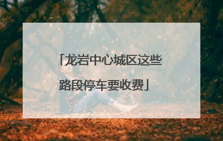龙岩中心城区这些路段停车要收费