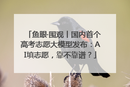 鱼眼·围观丨国内首个高考志愿大模型发布：AI填志愿，靠不靠谱？