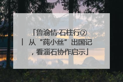 鲁渝情·石柱行② ︳从“莼小丝”出国记，看淄石协作启示