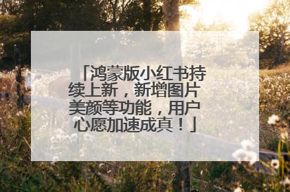 鸿蒙版小红书持续上新，新增图片美颜等功能，用户心愿加速成真！