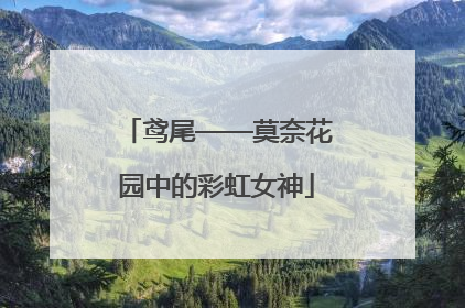 鸢尾——莫奈花园中的彩虹女神