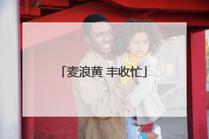 麦浪黄 丰收忙