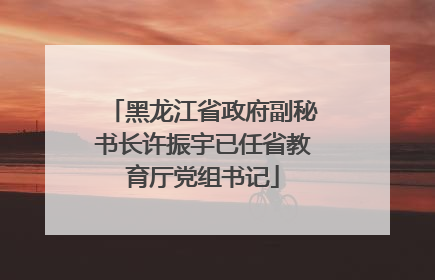黑龙江省政府副秘书长许振宇已任省教育厅党组书记