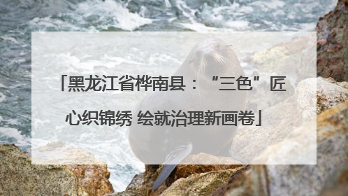 黑龙江省桦南县：“三色”匠心织锦绣 绘就治理新画卷