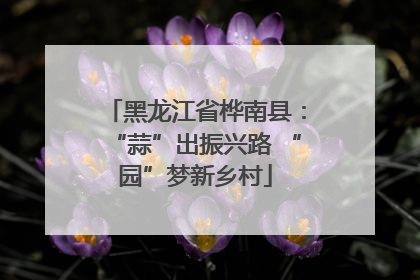 黑龙江省桦南县：“蒜”出振兴路 “园”梦新乡村