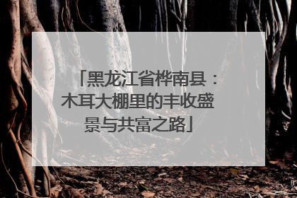 黑龙江省桦南县：木耳大棚里的丰收盛景与共富之路