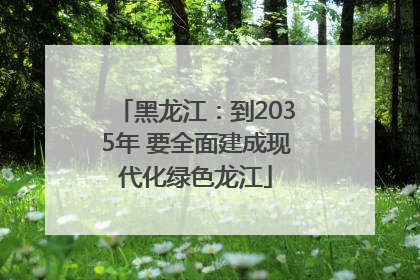 黑龙江：到2035年 要全面建成现代化绿色龙江