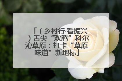 （乡村行·看振兴）舌尖“欢腾”科尔沁草原：打卡“草原味道”新地标