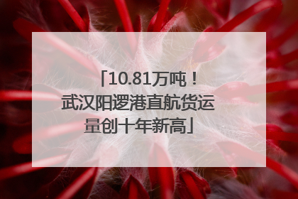 10.81万吨！武汉阳逻港直航货运量创十年新高