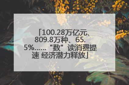 100.28万亿元、809.8万种、65.5%……“数”读消费提速 经济潜力释放