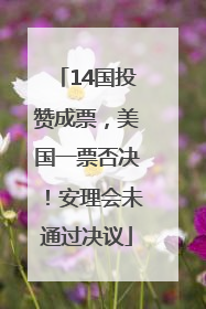 14国投赞成票，美国一票否决！安理会未通过决议
