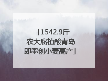 1542.9斤 农大腐植酸青岛即墨创小麦高产