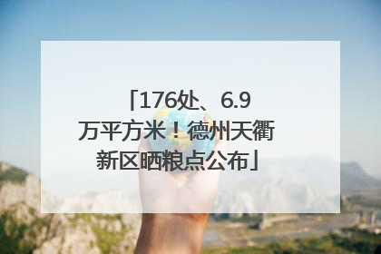176处、6.9万平方米！德州天衢新区晒粮点公布
