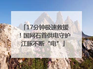17分钟极速救援！国网石首供电守护江豚不断“电”
