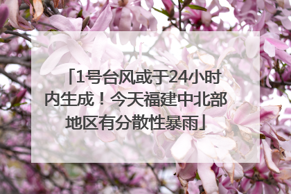 1号台风或于24小时内生成！今天福建中北部地区有分散性暴雨