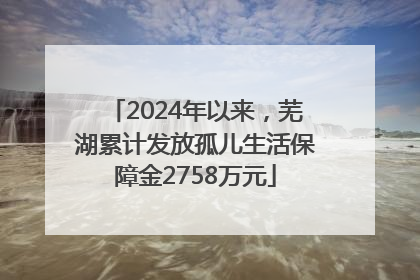 2024年以来，芜湖累计发放孤儿生活保障金2758万元