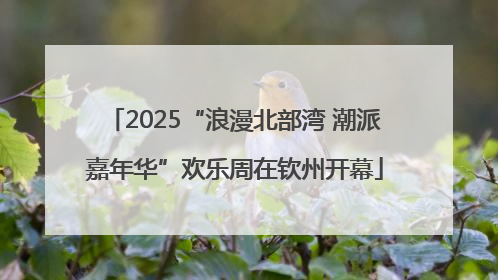 2025“浪漫北部湾 潮派嘉年华”欢乐周在钦州开幕