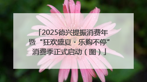 2025德兴提振消费年暨“狂欢盛夏・乐购不停”消费季正式启动（图）