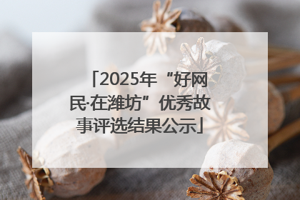 2025年“好网民·在潍坊”优秀故事评选结果公示