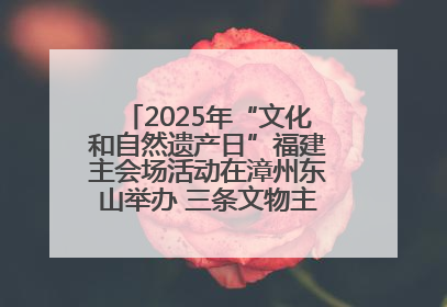 2025年“文化和自然遗产日”福建主会场活动在漳州东山举办 三条文物主题游径发布