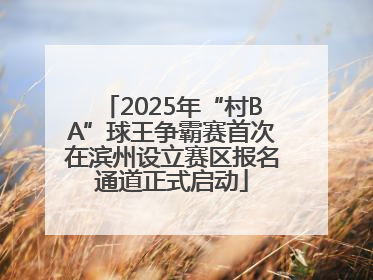 2025年“村BA”球王争霸赛首次在滨州设立赛区报名通道正式启动