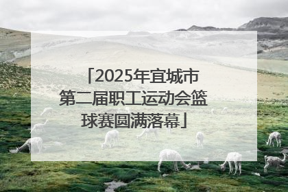 2025年宜城市第二届职工运动会篮球赛圆满落幕