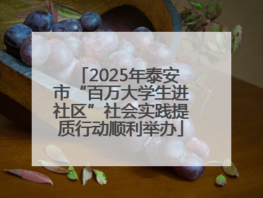 2025年泰安市“百万大学生进社区”社会实践提质行动顺利举办