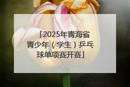 2025年青海省青少年（学生）乒乓球单项赛开赛