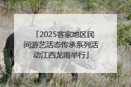 2025客家地区民间游艺活态传承系列活动江西龙南举行
