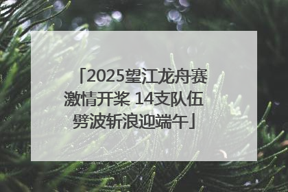 2025望江龙舟赛激情开桨 14支队伍劈波斩浪迎端午