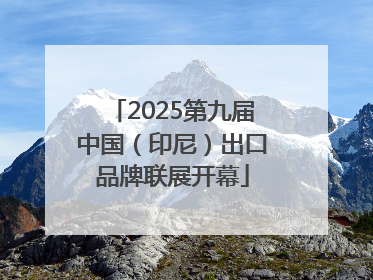2025第九届中国（印尼）出口品牌联展开幕