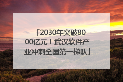 2030年突破8000亿元！武汉软件产业冲刺全国第一梯队