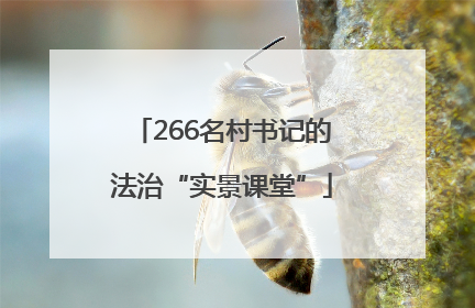 266名村书记的法治“实景课堂”