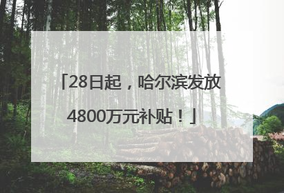 28日起，哈尔滨发放4800万元补贴！