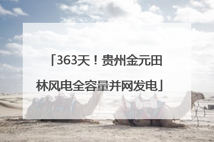363天！贵州金元田林风电全容量并网发电