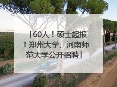 60人！硕士起报！郑州大学、河南师范大学公开招聘