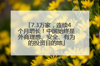 7.3万家，连续4个月增长！中国始终是外商理想、安全、有为的投资目的地