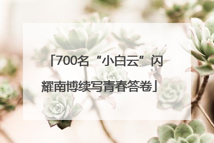 700名“小白云”闪耀南博续写青春答卷