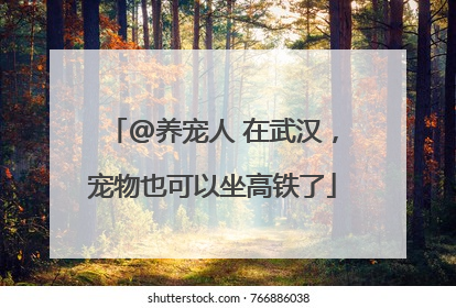 @养宠人 在武汉，宠物也可以坐高铁了