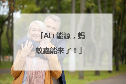AI+能源，蚂蚁鑫能来了！