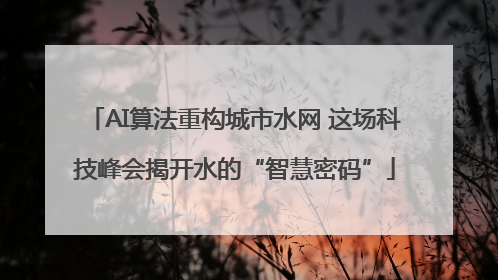 AI算法重构城市水网 这场科技峰会揭开水的“智慧密码”