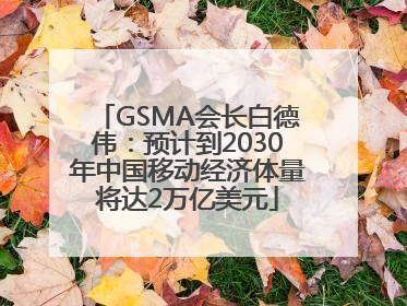 GSMA会长白德伟：预计到2030年中国移动经济体量将达2万亿美元
