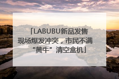 LABUBU新品发售现场爆发冲突，市民不满“黄牛”清空盒机