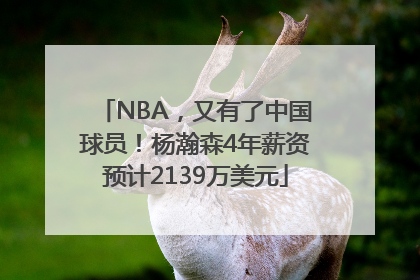 NBA，又有了中国球员！杨瀚森4年薪资预计2139万美元